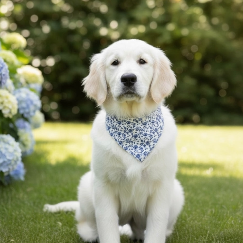 French Blue Floral Dog Bandana — Stylish Dog Scarf for Pets, Wedding Dog Accessory