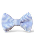 Easter blue and white striped bow tie for toddlers, boys, and men on a white background