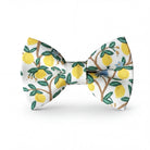 Bow tie with lemon and leaf pattern on a white background