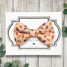 Dog Bow Tie or Cat Bow tie- Cider Autumn Leaves