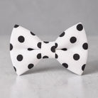 Black and white polkadot bow tie for men boys and toddlers.