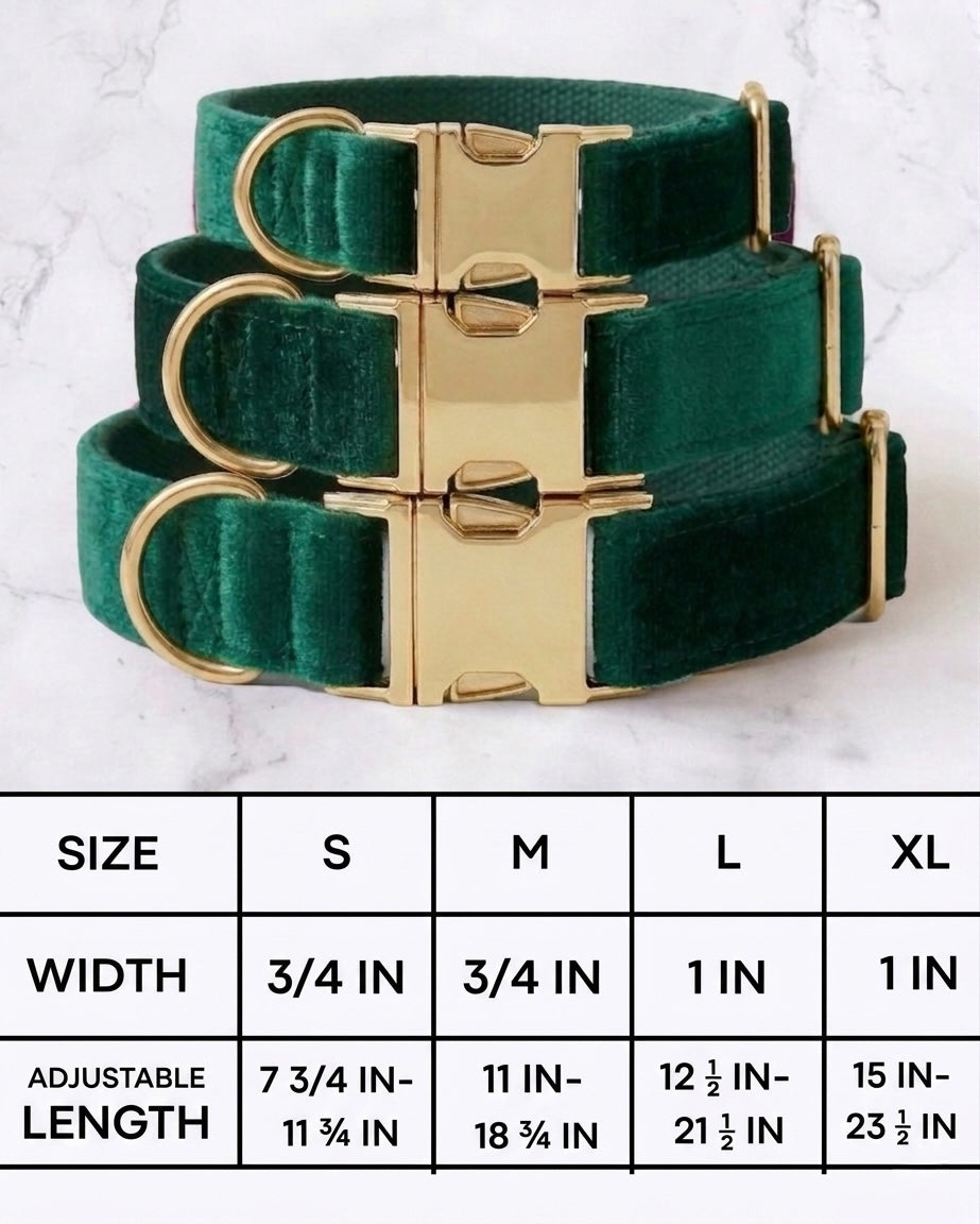 Velvet dog collars with gold buckle hardware arranged above a sizing chart. The chart details four sizes: Small has a width of 3/4 inch and an adjustable length of 7 3/4 to 11 3/4 inches. Medium has a width of 3/4 inch and an adjustable length of 11 to 18 3/4 inches. Large has a width of 1 inch and an adjustable length of 12 1/2 to 21 1/2 inches. Extra Large has a width of 1 inch and an adjustable length of 15 to 23 1/2 inches