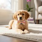 Rainbow Hearts Dog Bow Tie | Dog & Cat Collar Accessory | The Bold Bow Tie