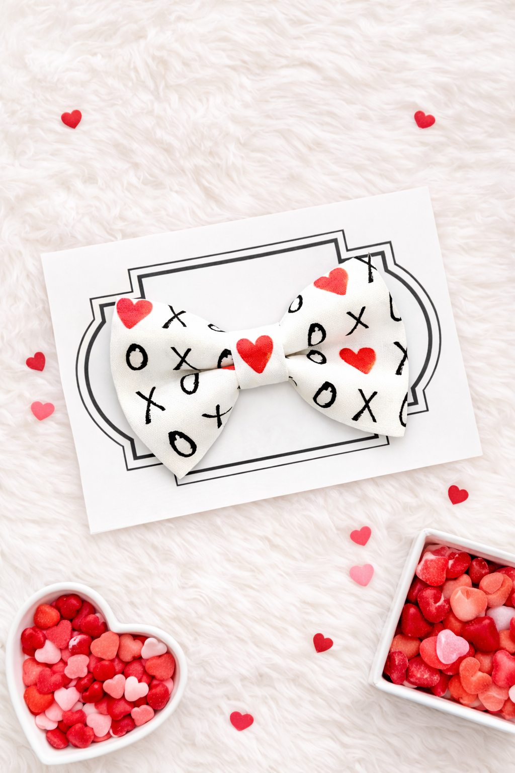 White dog bow tie with hearts and Xoxo for Valentines Day.