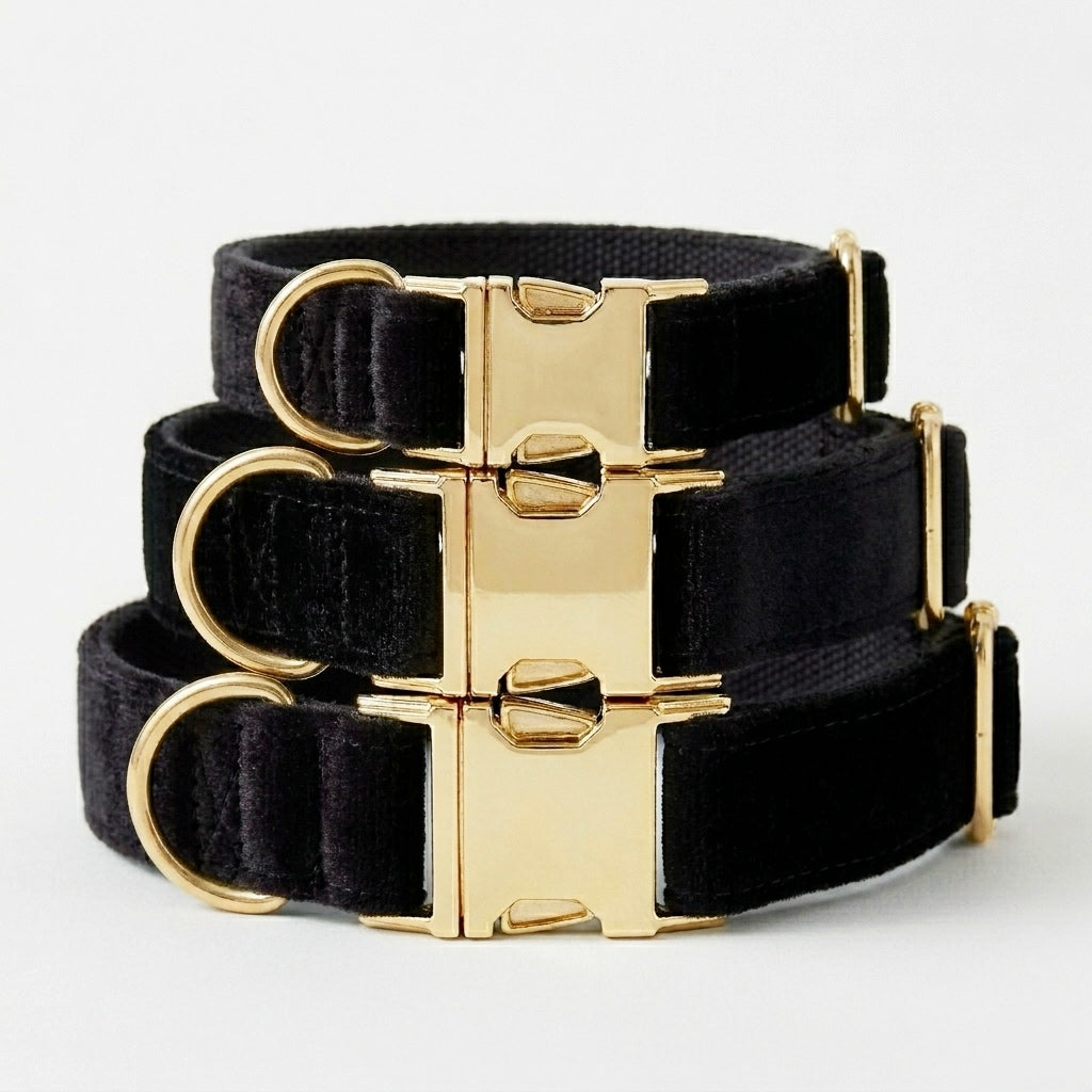 Black velvet dog collars with gold buckles stacked on a white background