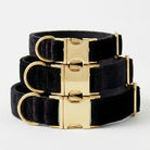 Black velvet dog collars with gold buckles stacked on a white background