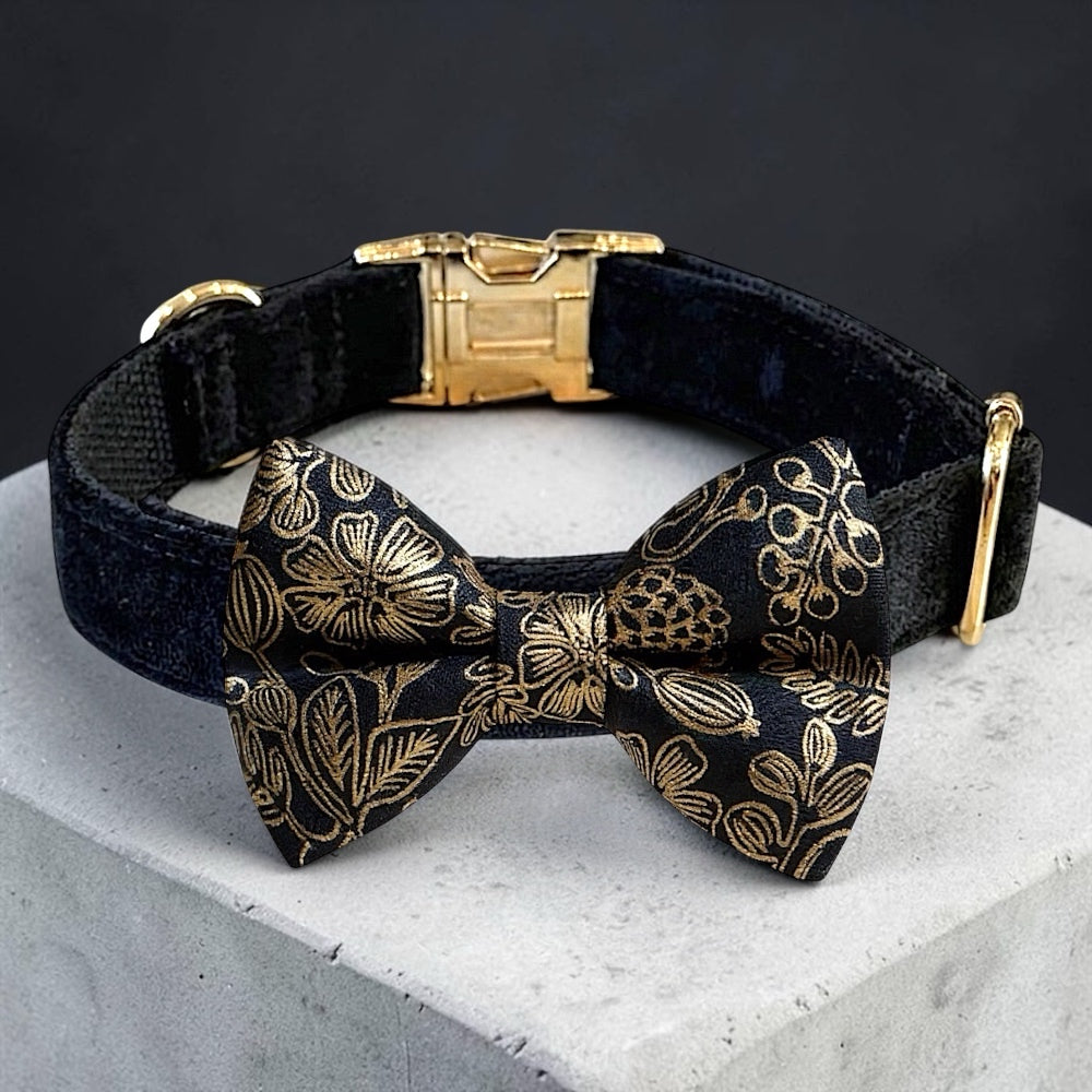 Black & Gold bow tie dog collar in velvet with a gold pet bowtie for weddings, Christmas and New Years Eve. 