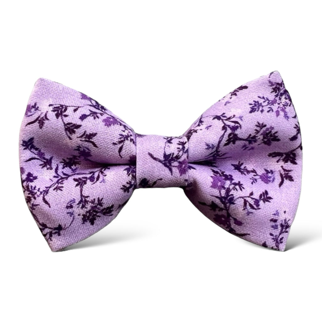 a close up of a bow tie on a white background