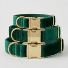 Green velvet dog collars with gold buckles on a light gray background
