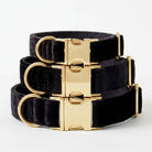 Black velvet dog collars with gold buckles stacked on a white background