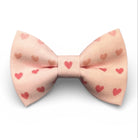 Pink Hearts Bow Tie- for Valentine’s Day On a white background.