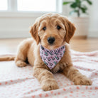 Puppy wearing a light pink puppy bandana for Valentines Day with gnomes on it on a bed with a light background