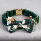 A green velvet dog collar with a gold buckle and a bow tie with a floral pattern.