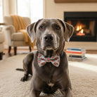 Dog wearing a Valentine’s Day dog bow tie in a cozy living room with a fireplace.