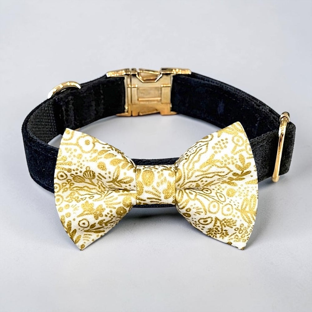 Gold dog bow tie on black velvet bow tie dog collar.