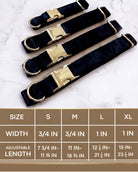 Four velvet dog collars with gold buckle hardware arranged above a sizing chart. The chart details four sizes: Small has a width of 3/4 inch and an adjustable length of 7 3/4 to 11 3/4 inches. Medium has a width of 3/4 inch and an adjustable length of 11 to 18 3/4 inches. Large has a width of 1 inch and an adjustable length of 12 1/2 to 21 1/2 inches. Extra Large has a width of 1 inch and an adjustable length of 15 to 23 1/2 inches