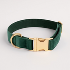 Green dog collar with a gold buckle on a light gray background
