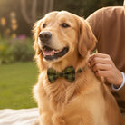 Green & Black Plaid Dog Bow Tie or Cat Bow Tie — for Pet Collar Accessory