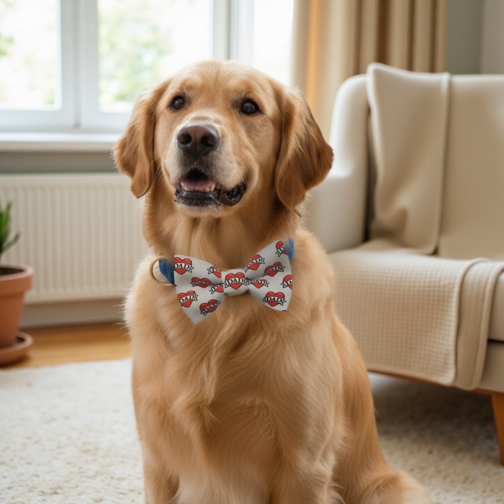 Dog wearing a dog bow tie with dad hearts sitting on a carpeted floor with a couch and window in the background.