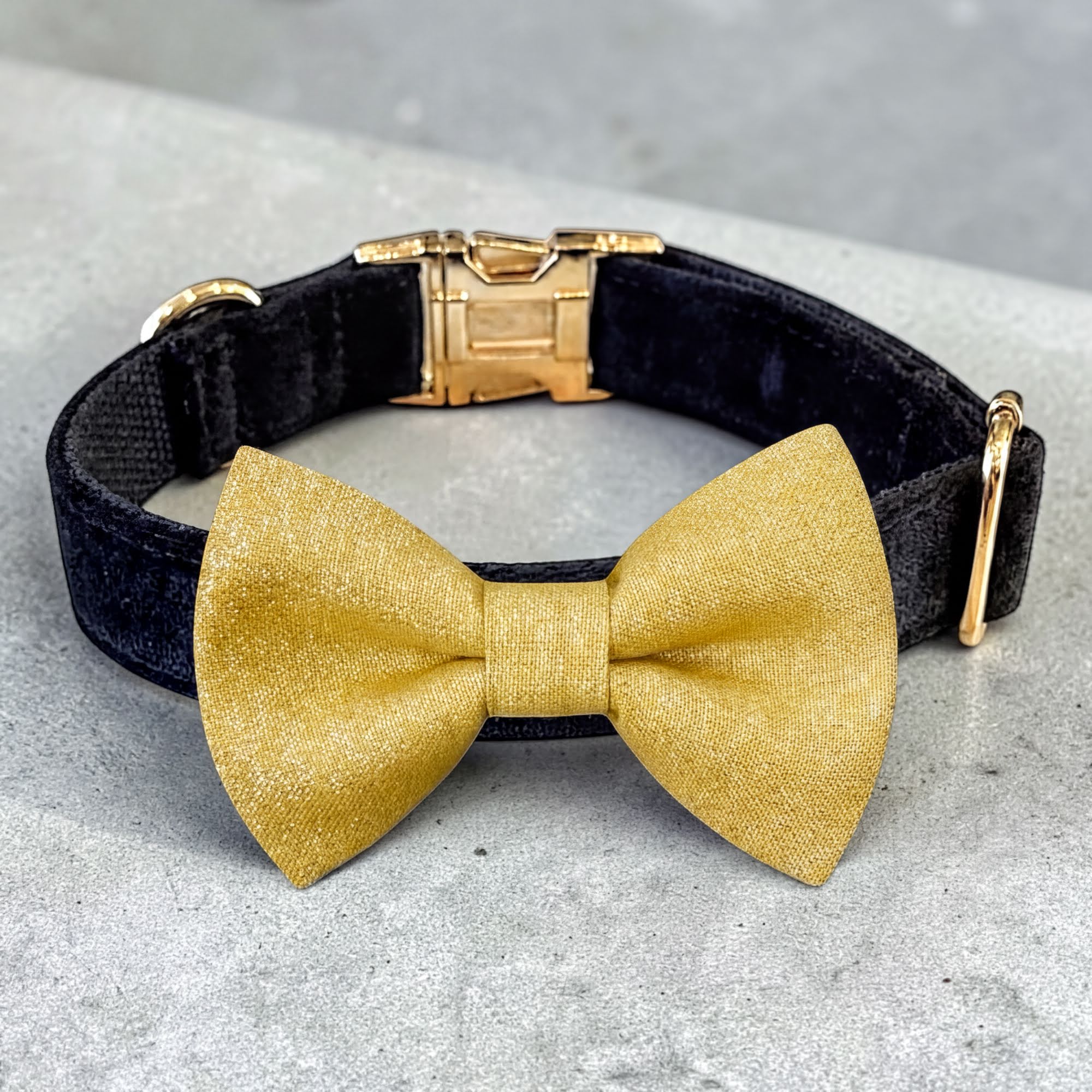 Black velvet dog collar with a gold dog bow tie on a gray surface for a wedding, Christmas or New Years Eve.