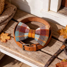 A plaid bow tie, a brown leather belt, and a leash are arranged on a wooden bench, with autumn leaves scattered around.