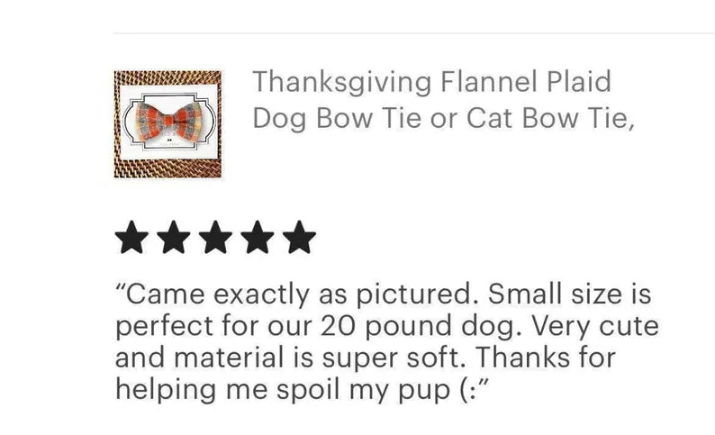 5 star review for Thanksgiving dog bow tie