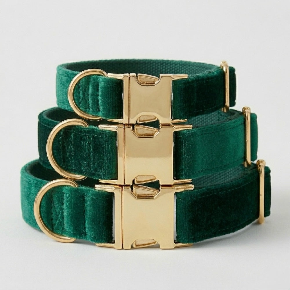 Green velvet dog collars with gold buckles on a light gray background