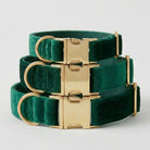 Green velvet dog collars with gold buckles on a light gray background