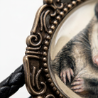 a close-up view of a metal frame with a glass pane, which displays a detailed image of a small animal, likely a rodent, with its paws visible.