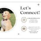 Let's connect @theboldbowtie on Instagram
