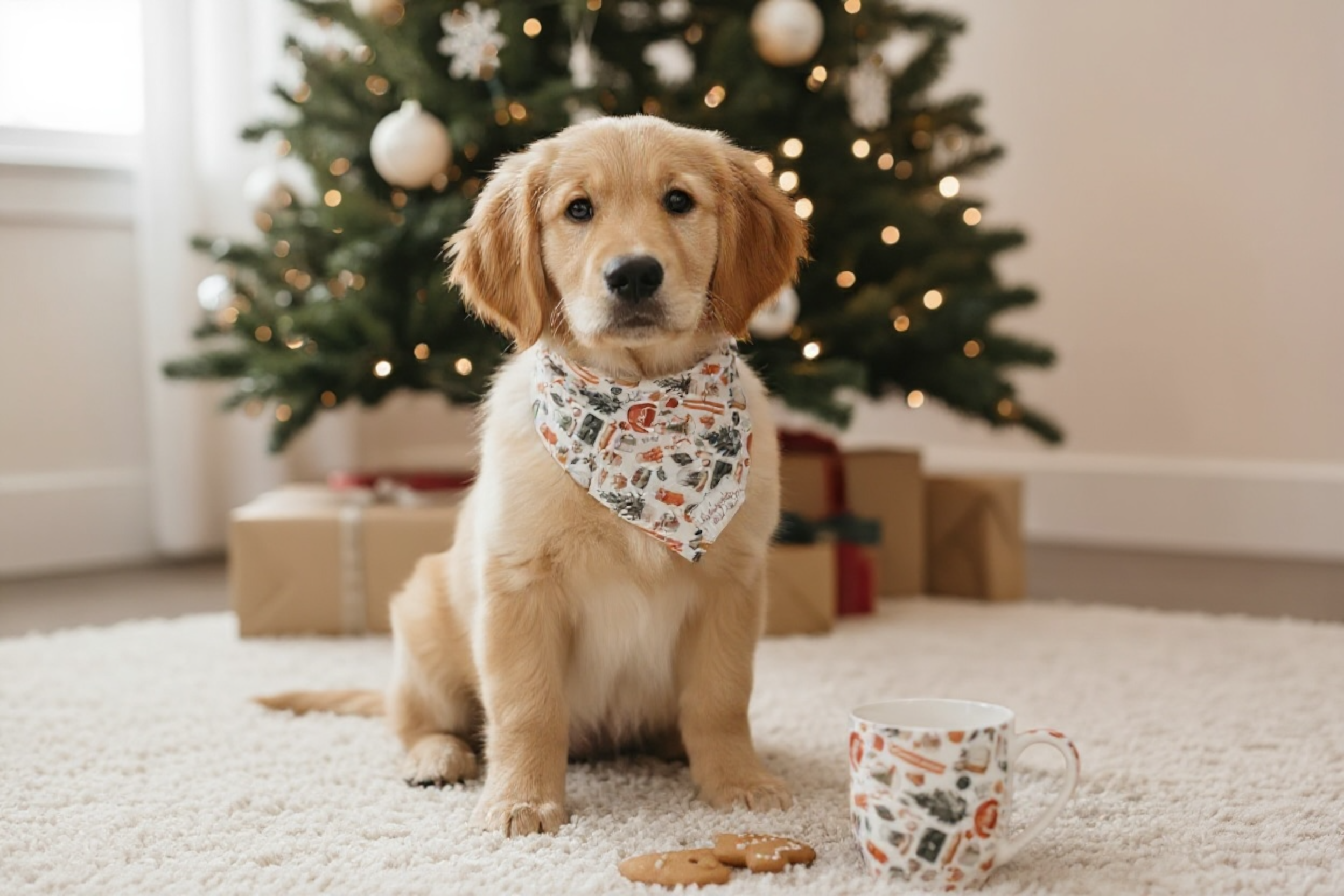 Dog wearing a Christmas bandana sitting on a carpet with a decorated Christmas tree in the background.