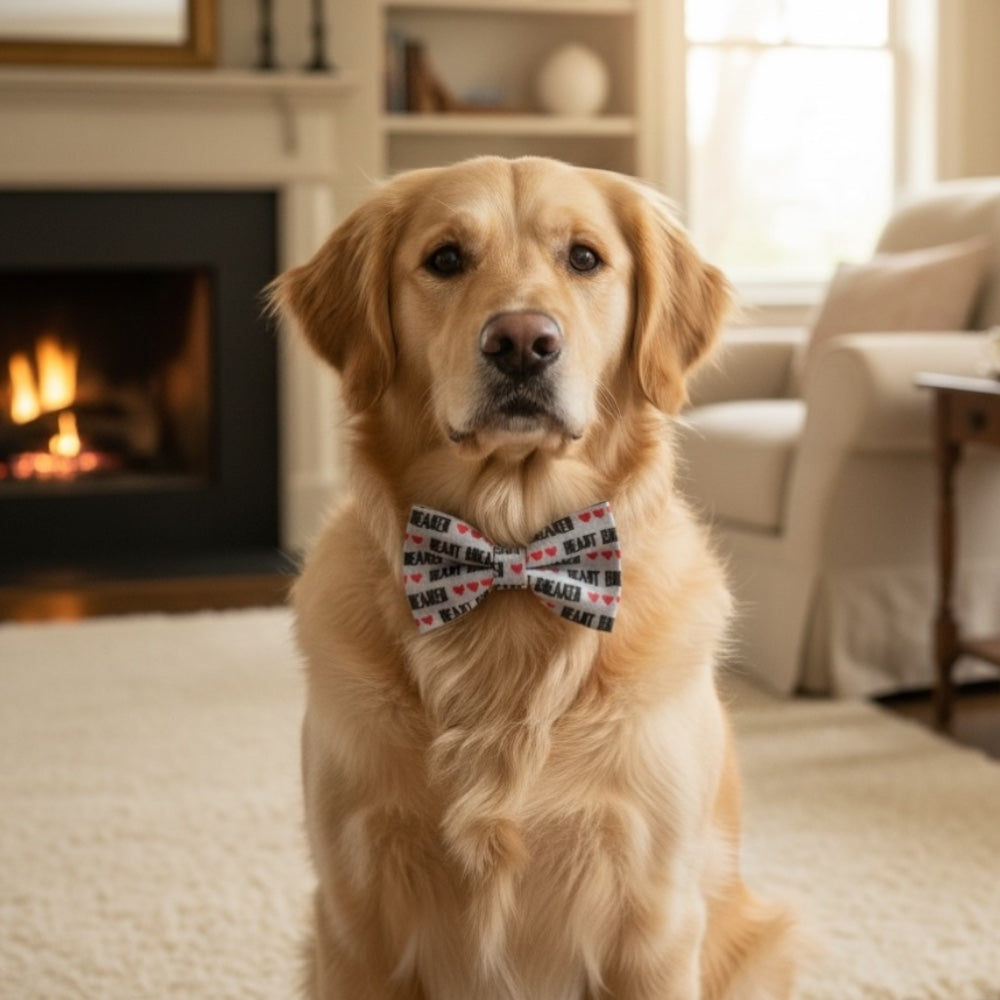 Dog wearing a “Heartbreaker” Valentine’s Day dog bow tie sitting in a cozy living room with a fireplace.