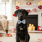 Black dog wearing a blue Valentine’s Day dog bow tie with red hearts in a festive living room.