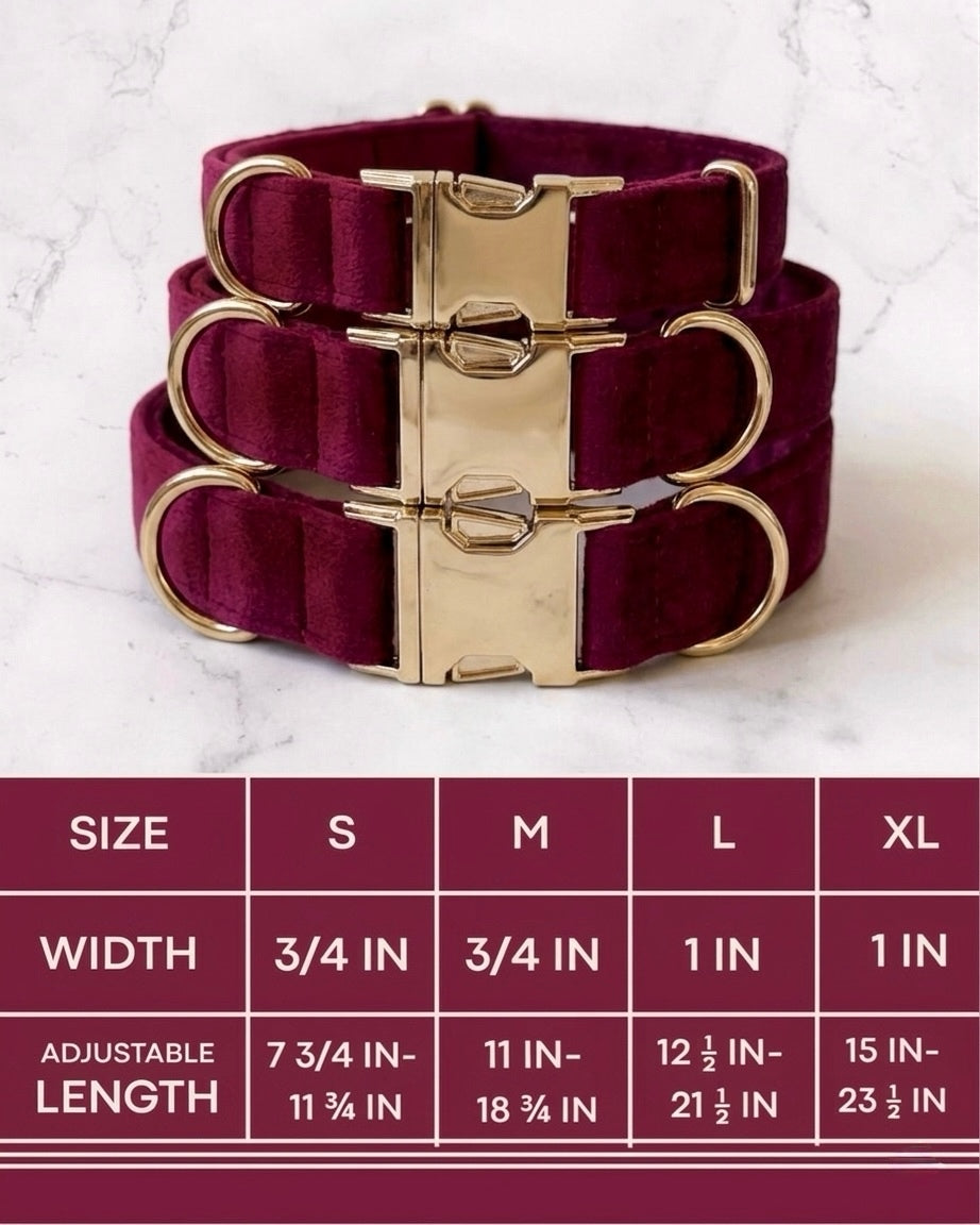 Three velvet dog collars with gold buckle hardware arranged above a sizing chart. The chart details four sizes: Small has a width of 3/4 inch and an adjustable length of 7 3/4 to 11 3/4 inches. Medium has a width of 3/4 inch and an adjustable length of 11 to 18 3/4 inches. Large has a width of 1 inch and an adjustable length of 12 1/2 to 21 1/2 inches. Extra Large has a width of 1 inch and an adjustable length of 15 to 23 1/2 inches.