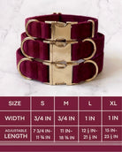 Three velvet dog collars with gold buckle hardware arranged above a sizing chart. The chart details four sizes: Small has a width of 3/4 inch and an adjustable length of 7 3/4 to 11 3/4 inches. Medium has a width of 3/4 inch and an adjustable length of 11 to 18 3/4 inches. Large has a width of 1 inch and an adjustable length of 12 1/2 to 21 1/2 inches. Extra Large has a width of 1 inch and an adjustable length of 15 to 23 1/2 inches.
