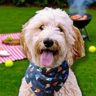 Dog wearing a patriotic red white and blue ice cream bandana