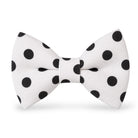 Polka dot bowtie for men boys and toddlers in white with black dots.