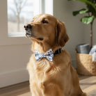 French Blue Floral Dog Bow Tie Collar