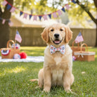 Golden retriever puppy wearing a Fourth of July dog bow tie sitting on grass with picnic baskets and flags in the background.
