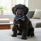 Black puppy wearing a preppy whale dog bow tie sitting on a light-colored couch.