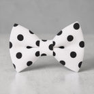 Black and white polkadot bow tie for men boys and toddlers.