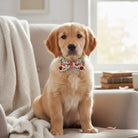 Puppy wearing a floral dog bow tie sitting on a couch in a cozy living room.