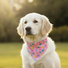 White dog wearing a pink Valentine’s Day dog bandana with hearts outdoors.
