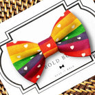 Gay Pride Dog bow tie or Cat bow tie for pet bowtie collar.