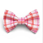Plaid bow tie with red and pink pattern for Valentines Day on a white background