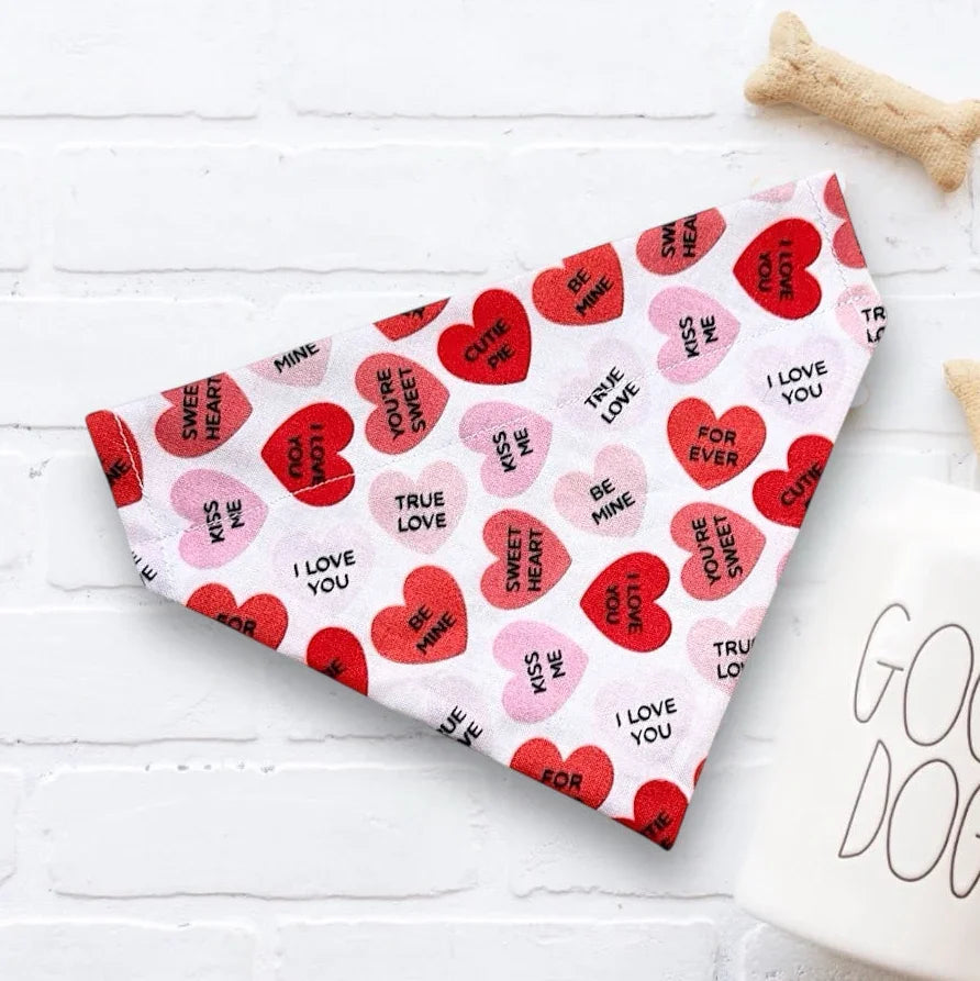 Valentine's Day dog bandana with hearts and a 'Good Dog' mug on a white surface.