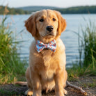 Dog wearing a preppy lobster dog bow tie sitting by a lake with grass and water in the background