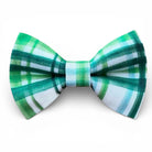 Green and white plaid bow tie on a white background for St. Patrick’s Day.