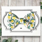 Dog bowtie with lemons dog collar accessory.