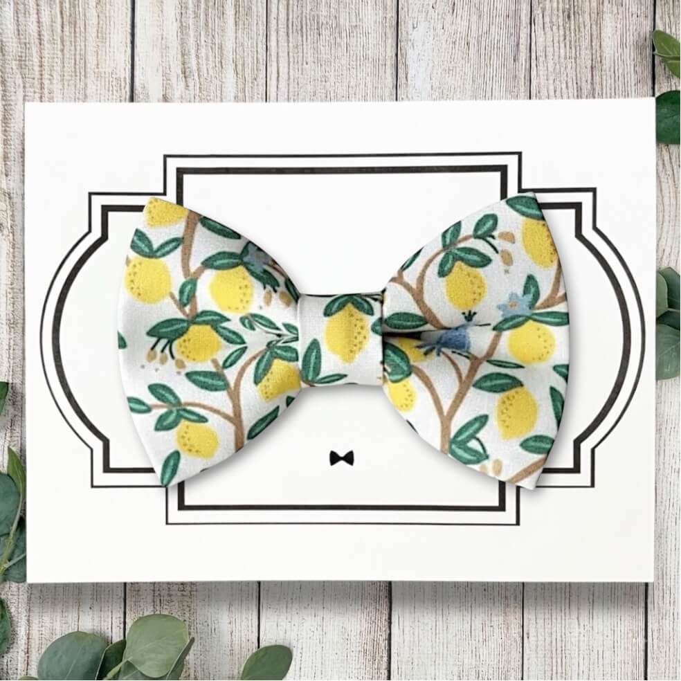 Dog bowtie with lemons dog collar accessory.